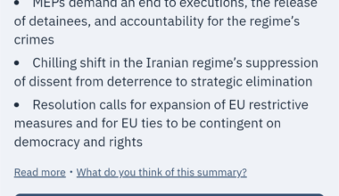 Catarina Martins abstém-se na EU sobre brutal repressão no Irão