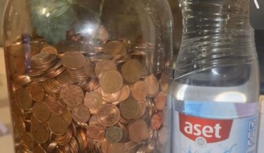 Minu rahapuu. Loen üle laupäeval, aga kas keegi oskaks pakkuda palju tema arvates siin sees on? 1,2,5 sendised, terve kupatus kaalub 15.6kg, purgi ümbermõõt 55cm, purgi pikkus 28cm