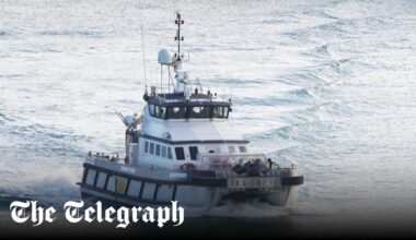 Immigration officer was illegal immigrant, court hears