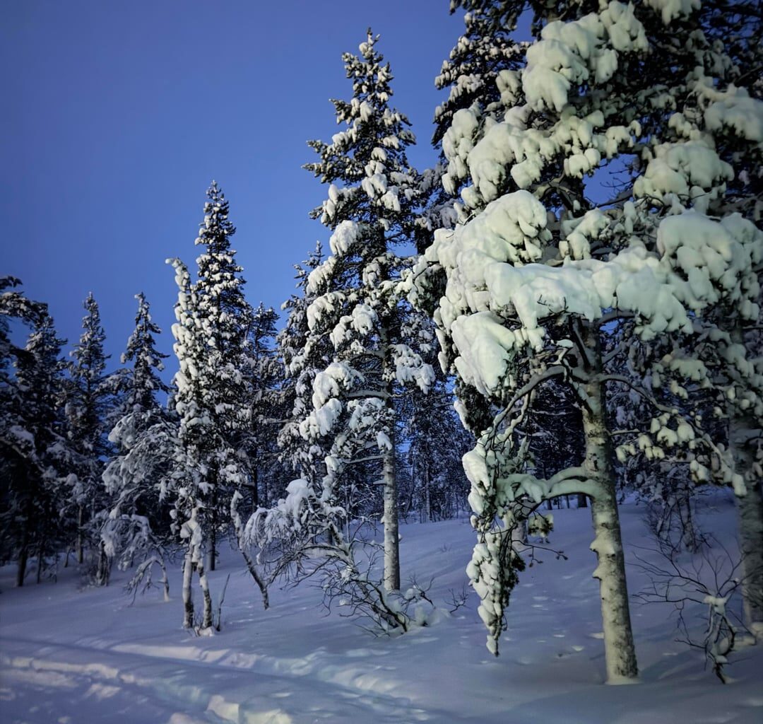 My greatest experience ever