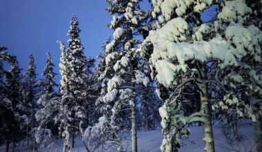 My greatest experience ever