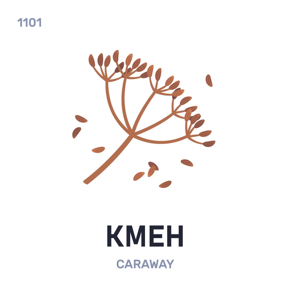 Belarusian words - Week 158