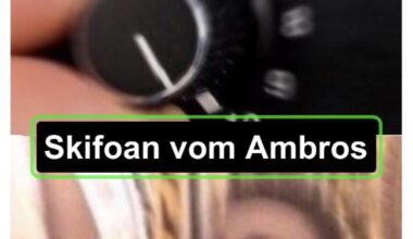 Was ist euer lieblings Austro Pop Hit?