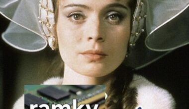 Môj obľúbený film