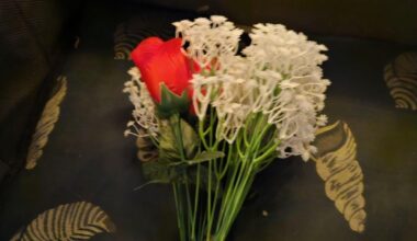 Plastblommor ute på bron?