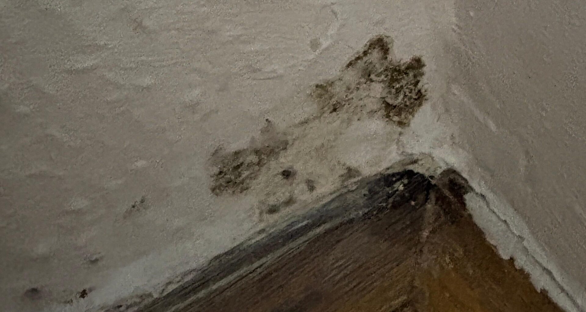 Mold in the new apartment