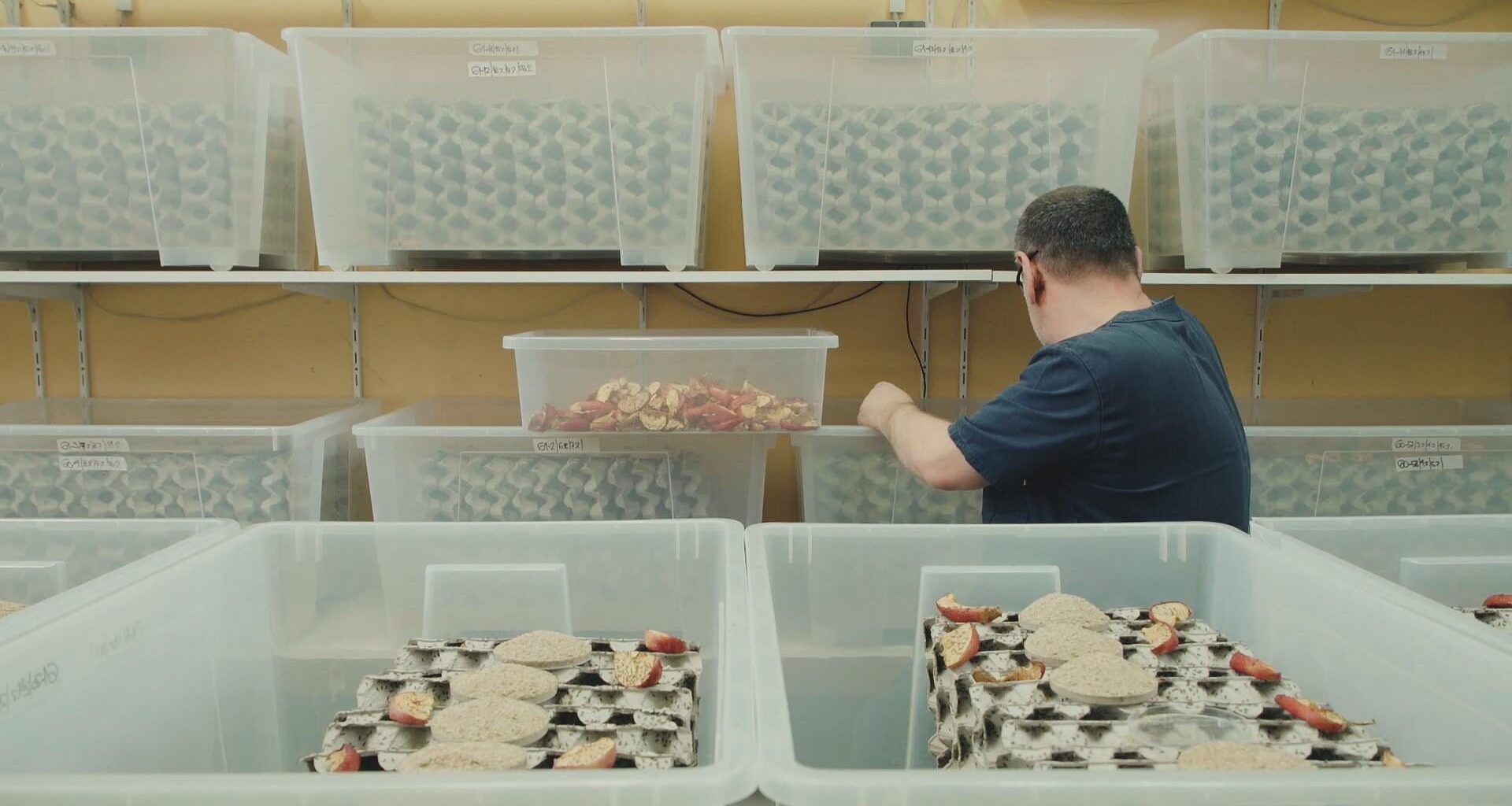 Paradoks na tanjuru: najpretiliji u Europi, a hranu bacamo