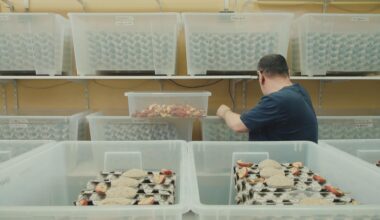 Paradoks na tanjuru: najpretiliji u Europi, a hranu bacamo