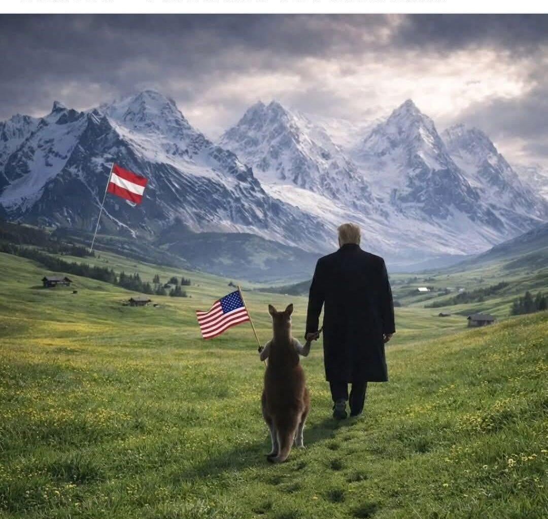 No kangaroos here lol