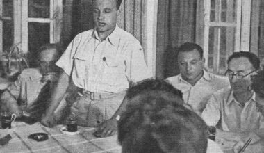 Does anyone have a copy of the film Konfrontation?