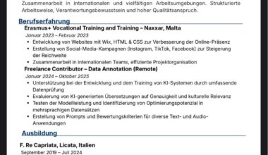 Can you please review my CV