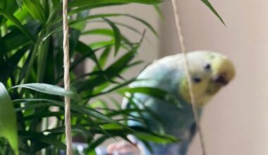 Moin! Does/did anyone work in Lübeck, Kiel, Flensburg, or Emden in a field related to biotechnology and/or sustainability? How is it there? I have questions :)