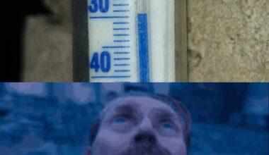 Mans nabaga audi dīzelītis...