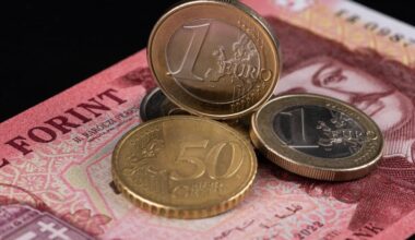 Poll-leader Tisza Party vows swift euro adoption in Hungary