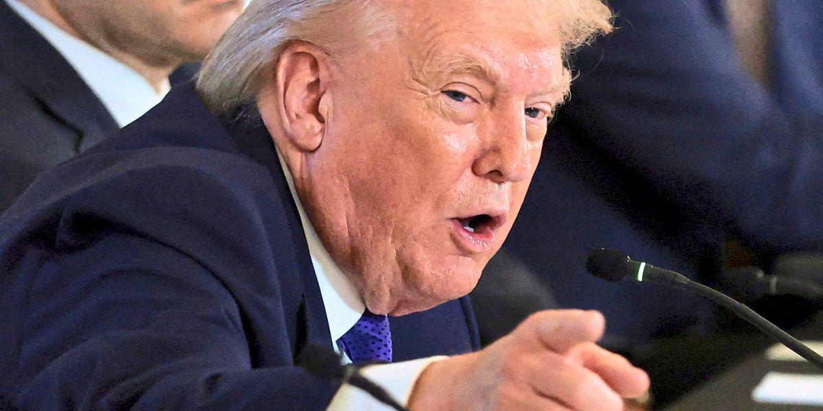 Trump kündigt Zölle gegen mehrere Nato-Staaten wegen Grönland an