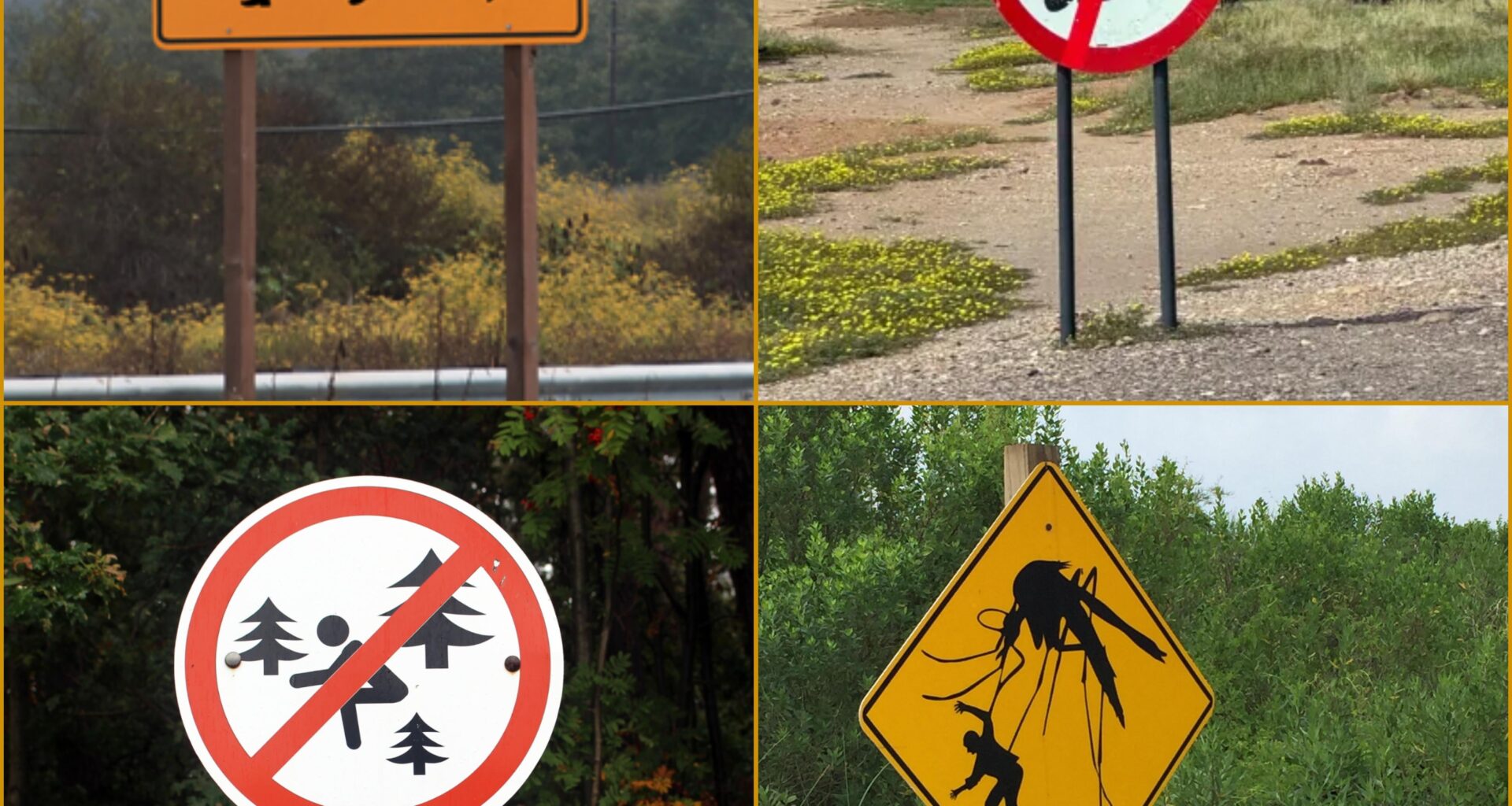 What are the most unusual road signs in your country/region?