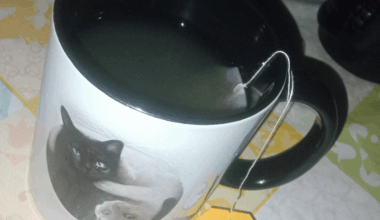 È normale usare l'acqua della pasta per il tè?