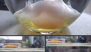 It's a kind of magic.