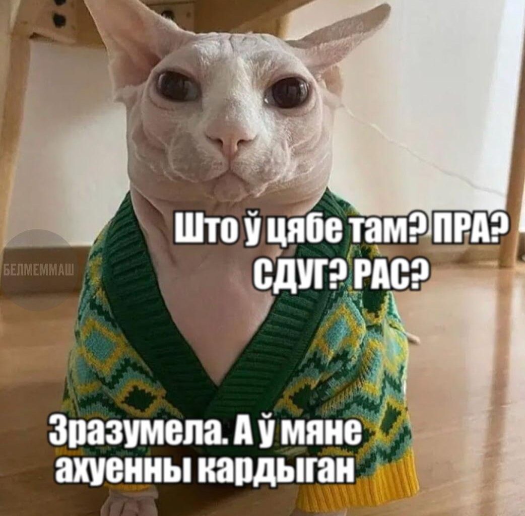 Смешняўкі па-беларуску