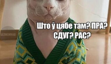 Смешняўкі па-беларуску