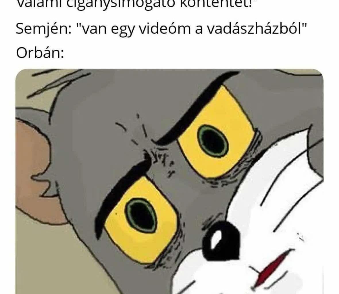Kormány válságstáb