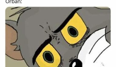 Kormány válságstáb