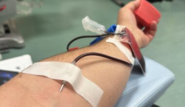 Perché non donate il sangue o il plasma?