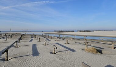 Does anybody know what these wood pilars are for? Picture made in Sankt Peter Ording