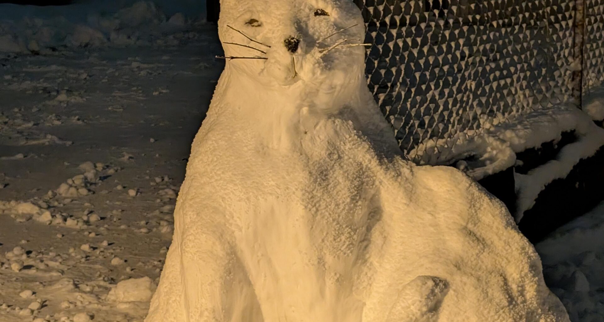 My neighbors made a snowcat