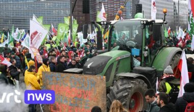 Fact or fiction: will the EU be flooded with low-quality products due to Mercosur trade agreement?