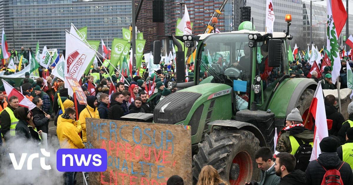 Fact or fiction: will the EU be flooded with low-quality products due to Mercosur trade agreement?