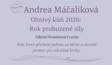 Keď rodič prepadne ezo bullshitom na internete - pokúšať sa riešiť alebo nechať tak?