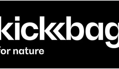 Reusable shipping envelope bag thingy?