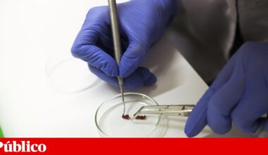 Sem receber, bolseiros de doutoramento estão em “contenção de gastos” para sobreviver