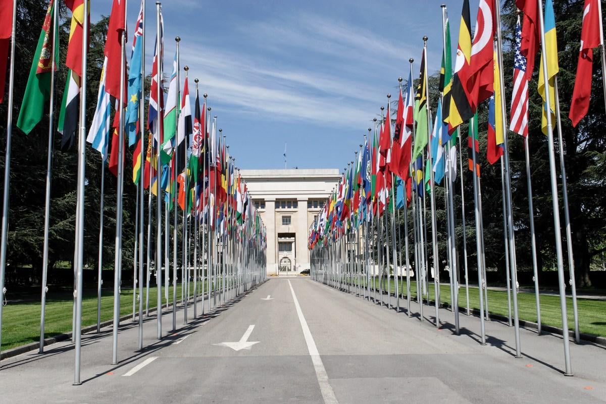 As UN jobs disappear, foreign graduates struggle to stay in Geneva