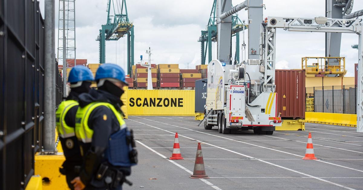 Honderden Antwerpse havenbedienden geschorst na drugsscreening