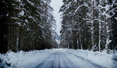 LAU apmaksā studijas Hārvardā valdes loceklei 15 tūkstošu apmērā