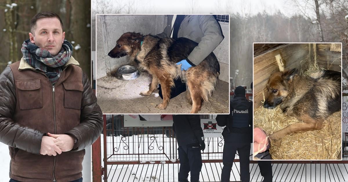 Sobolew na celowniku NIK po interwencji aktywistów. Wójt zabiera głos