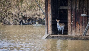 Grupo de voluntários lança plataforma TempestadeSOS para ajudar vítimas da depressão Kristin