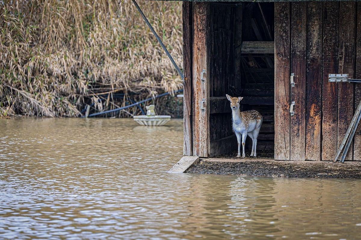 Grupo de voluntários lança plataforma TempestadeSOS para ajudar vítimas da depressão Kristin
