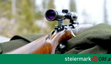 Fuchsjagd: Jäger erschoss Mischlingshündin