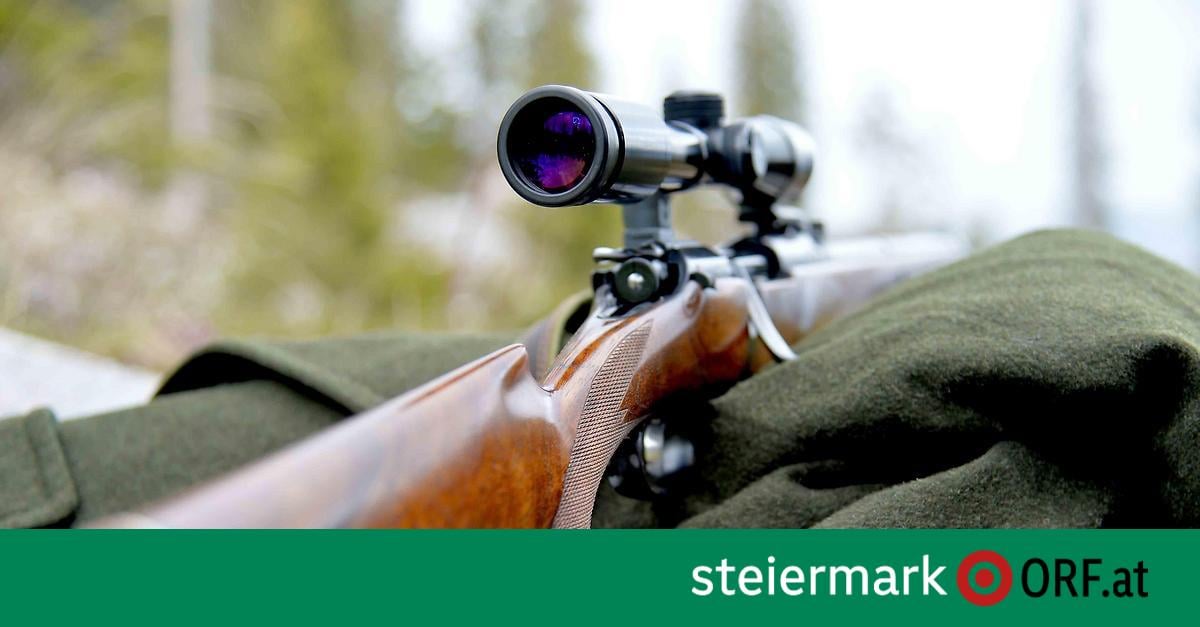 Fuchsjagd: Jäger erschoss Mischlingshündin