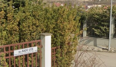 O asociație cere schimbarea denumirii străzii Radu Gyr și a Bibliotecii „Octavian Goga” din Cluj Napoca / Se invocă prevederi din Legea Vexler / Primăria și Consiliul Județean analizează solicitările