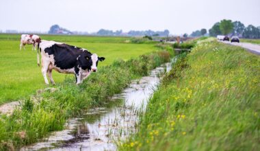 Nederlandse waterkwaliteit blijft ondermaats, terwijl EU-deadline nadert
