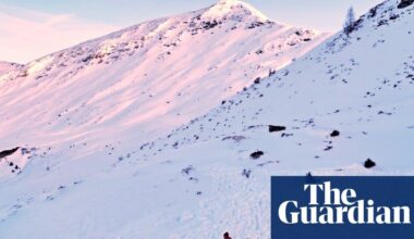 Eight people killed in avalanches in Austrian Alps as rescuers urge skiers to heed warnings | Austria | The Guardian