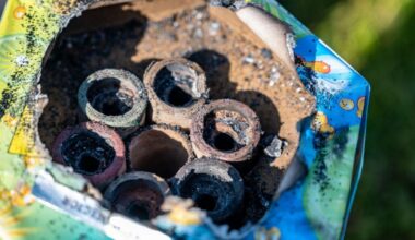 Brez izjem: Prepoved prodaje, nakupa, posedovanja in uporabe pirotehnike