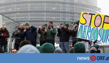 EuGH-Prüfung: EU-Parlament bremst Mercosur