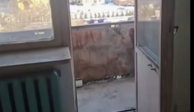 Iarăsi imobiliare Chișinău