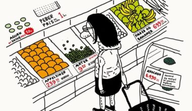 [Gavelink] Professorer: Fødevarechecken er en lappeløsning. Tag dog fat om problemets rod - Drop fødevarecheck, differentieret moms og andre hovsa-lappeløsninger på udfordringerne med de høje fødevarepriser.