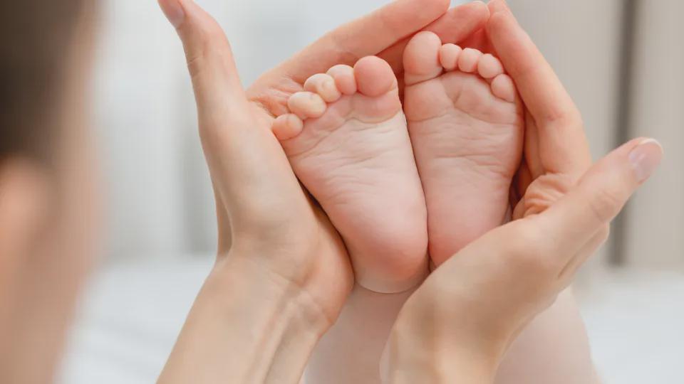 Licença parental a seis meses paga a 100% aprovada: O que se segue?